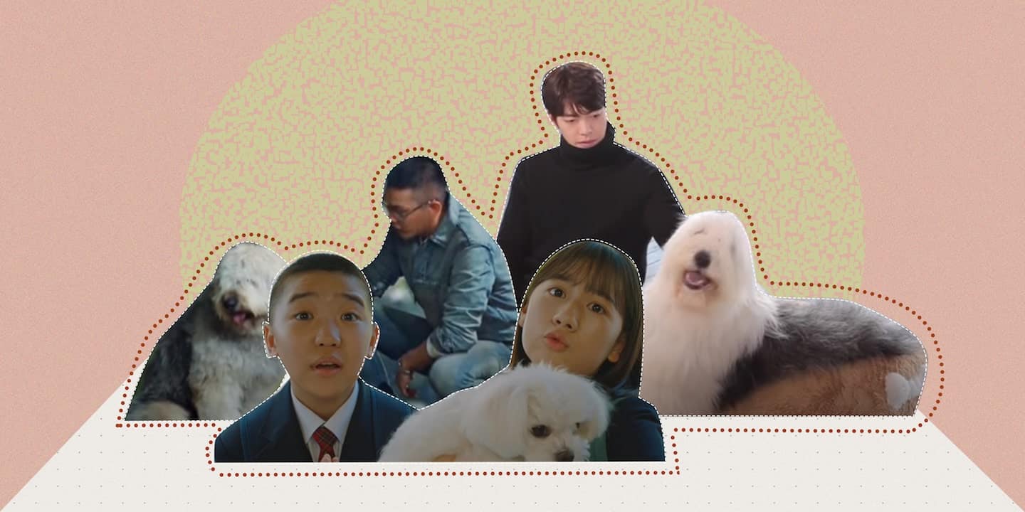 These 3 Dogs From Korea Dramaland Had Us Wishing To Have A Furry Friend Like Them Metro.Style