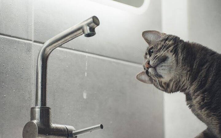 Are We Facing Water Shortage Amidst The COVID-19 Lockdown? Here’s How To Help Conserve Water