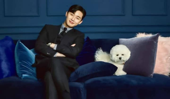 Pet Of The Week: If Only Park Seo- Joon Can Cuddle With You Like He Does With Simba!