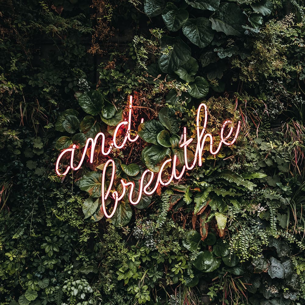 Inhale positivity, exhale negativity! Inhale positivity, exhale negativity!