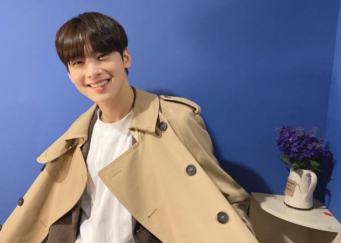 All The Reasons To Become A Cha Eun-Woo Fan, If You Aren't Already