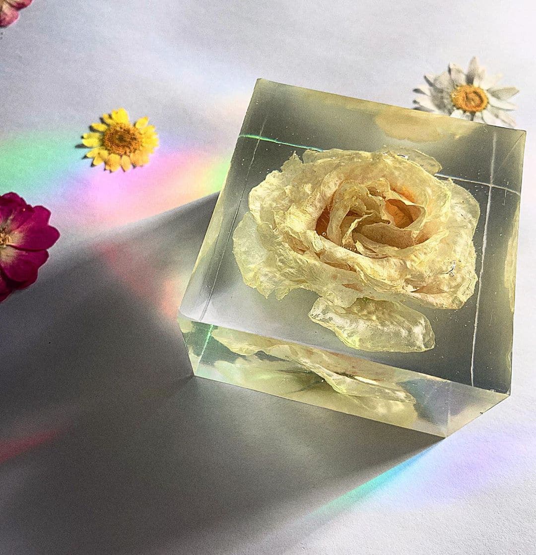 Object of the Week: The Flower Prism | Metro.Style