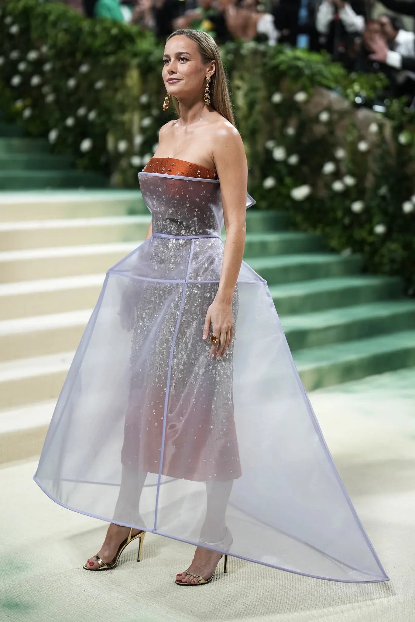 Met Gala 2024: Celebrities on the Red Carpet