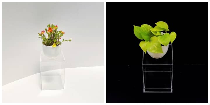 Purchase an Own-A-Plant Kit