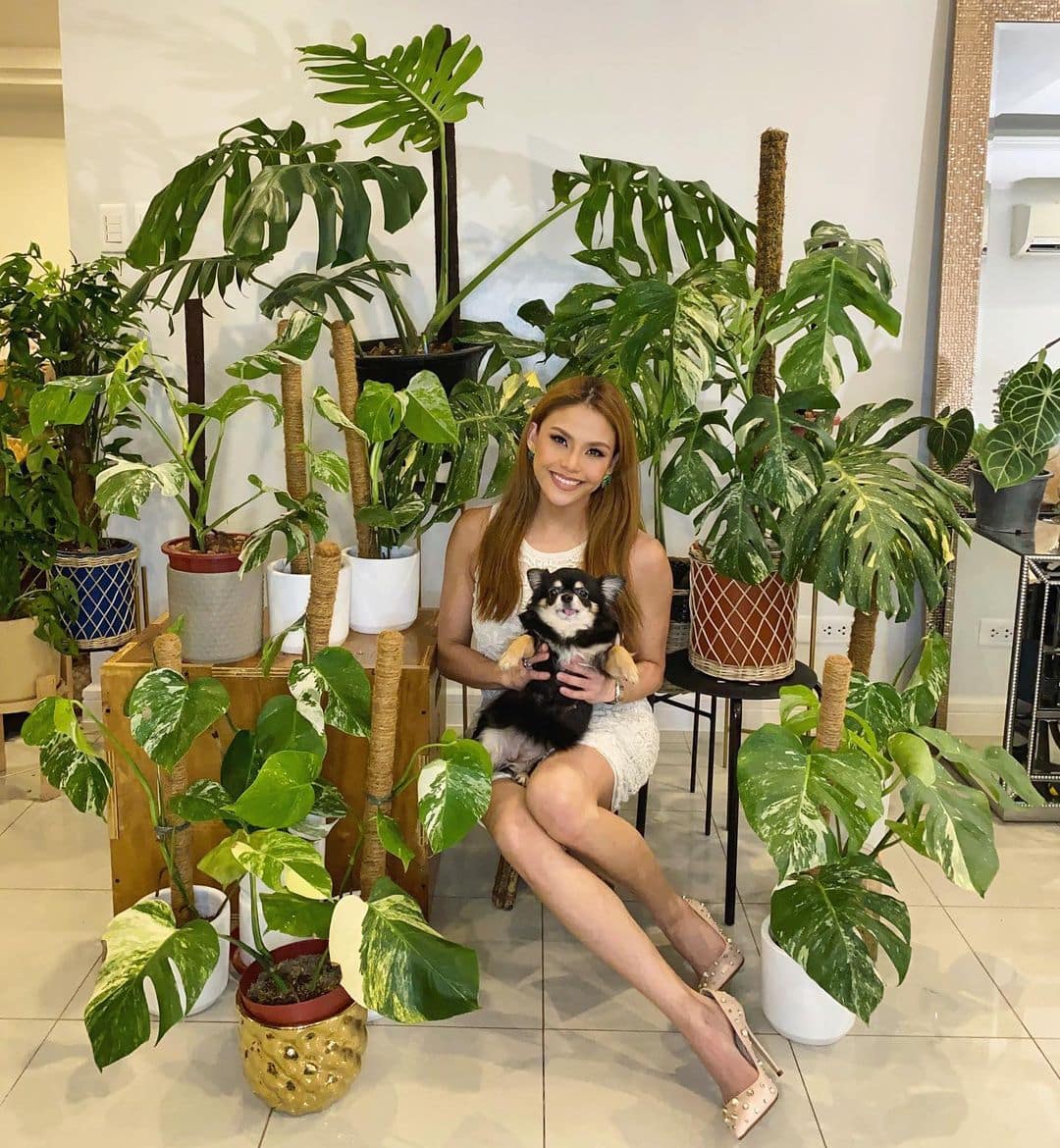 10 Celeb Plant Mommas On Instagram To Follow For Your Ultimate