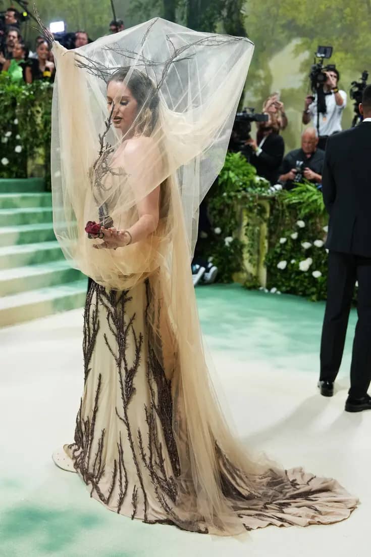 Met Gala 2024: Celebrities on the Red Carpet