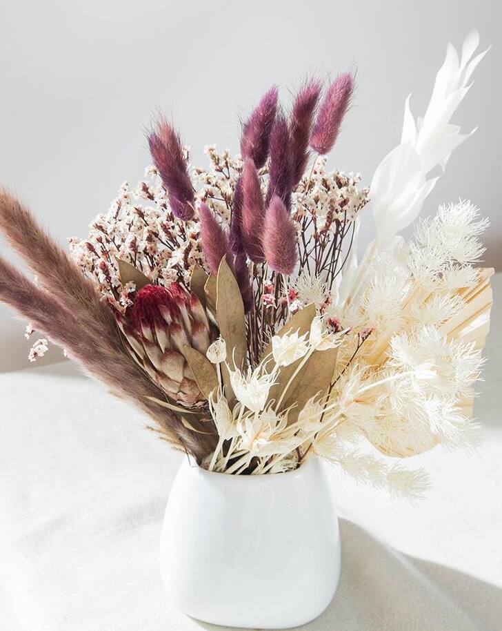 The Sustainable Choice Tips on Buying And Making Your Own Dried