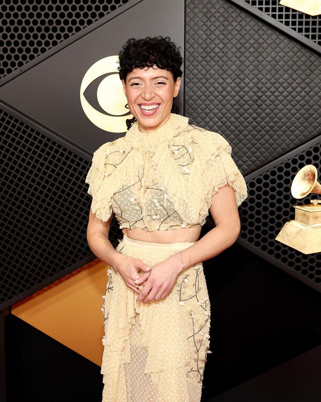 Grammys 2024: Celebrities on the Red Carpet