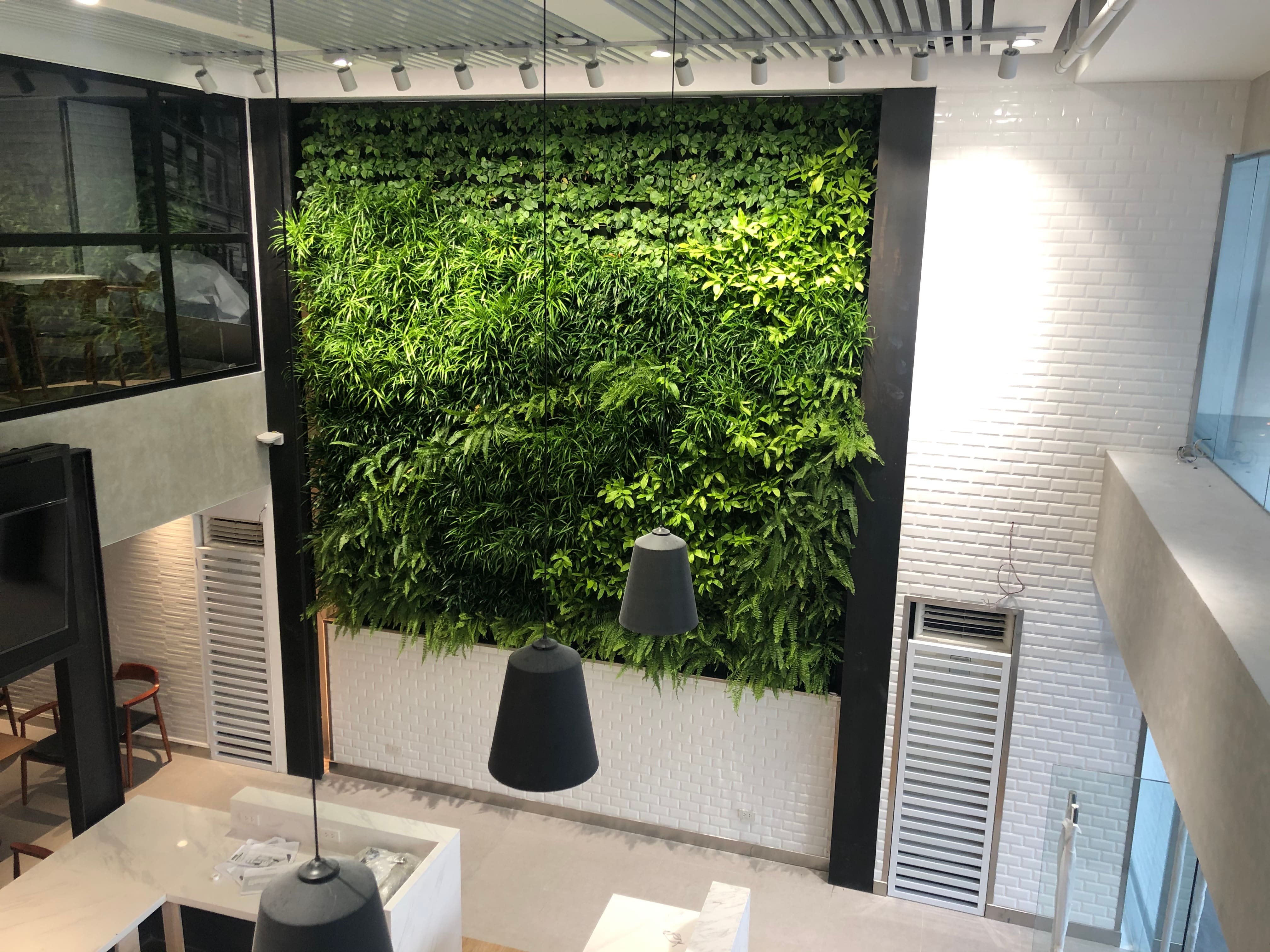 Plant Walls Might Just Be Your Greatest Pandemic Plant Project To Date ...