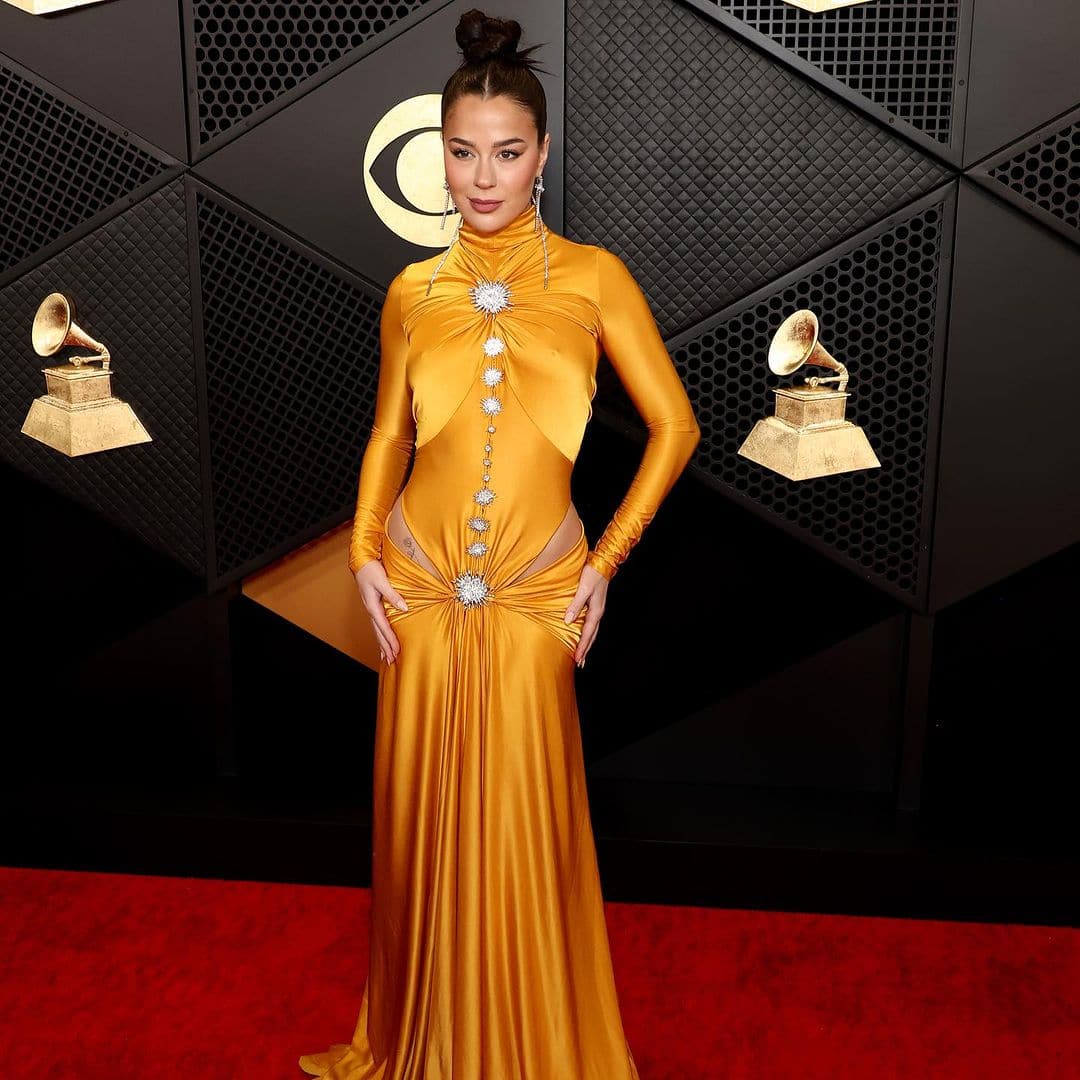 Grammys 2024: Celebrities on the Red Carpet