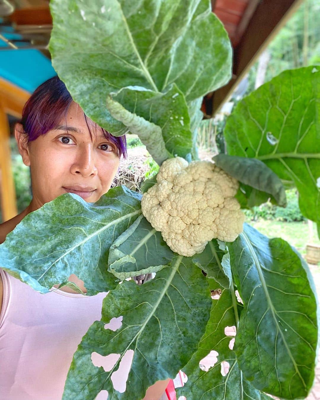 Angie Mead King Takes Her FarmVille Game To A Whole New Level Metro.Style