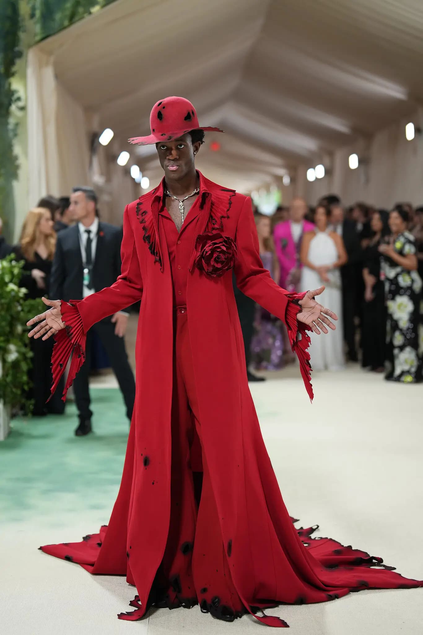 Met Gala 2024: Celebrities on the Red Carpet