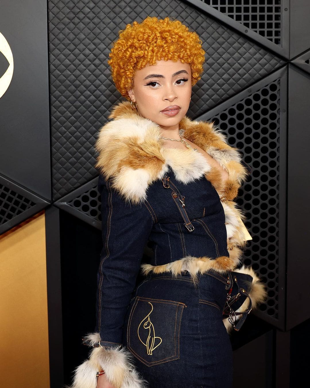 Grammys 2024: Celebrities on the Red Carpet
