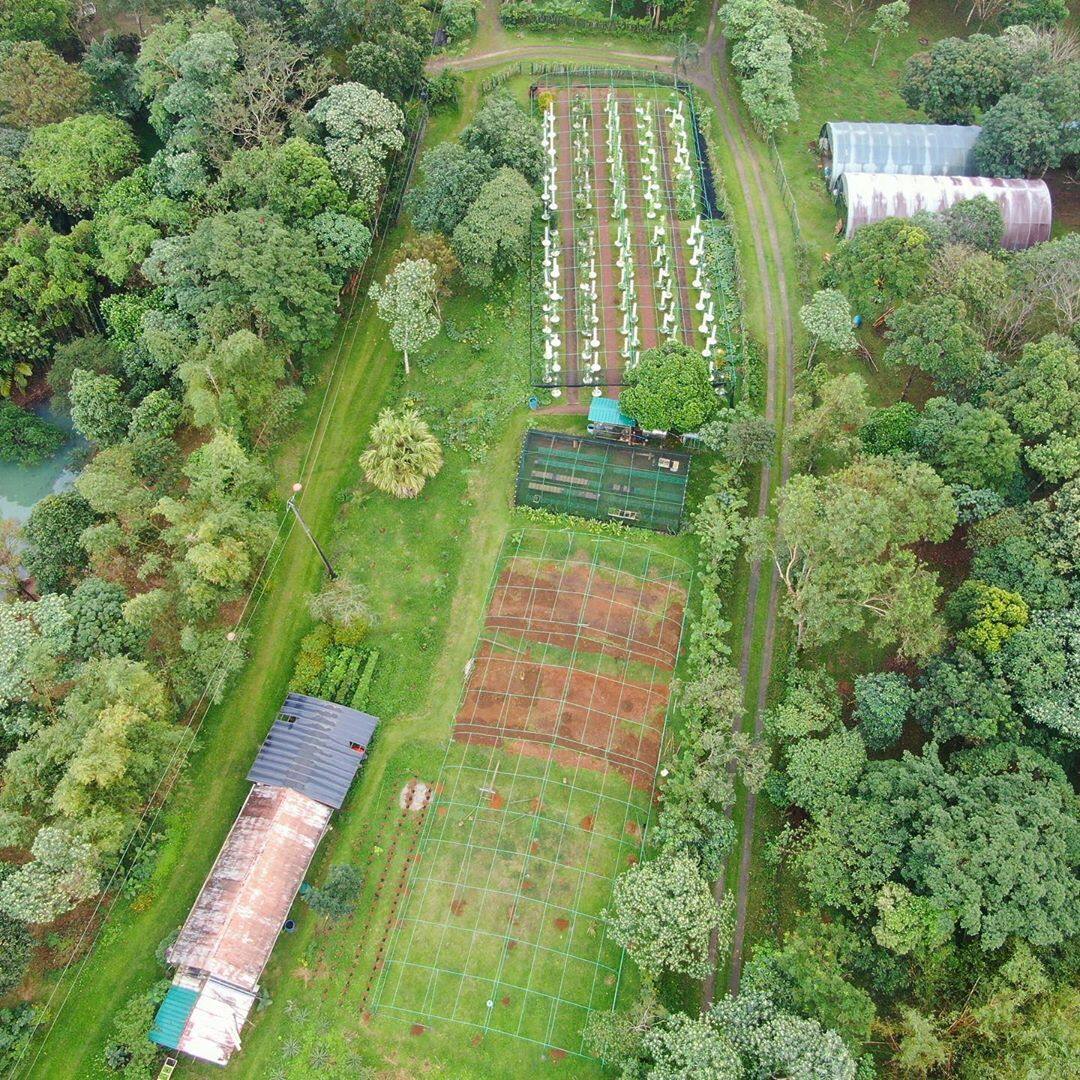 Angie Mead King Takes Her FarmVille Game To A Whole New Level Metro.Style