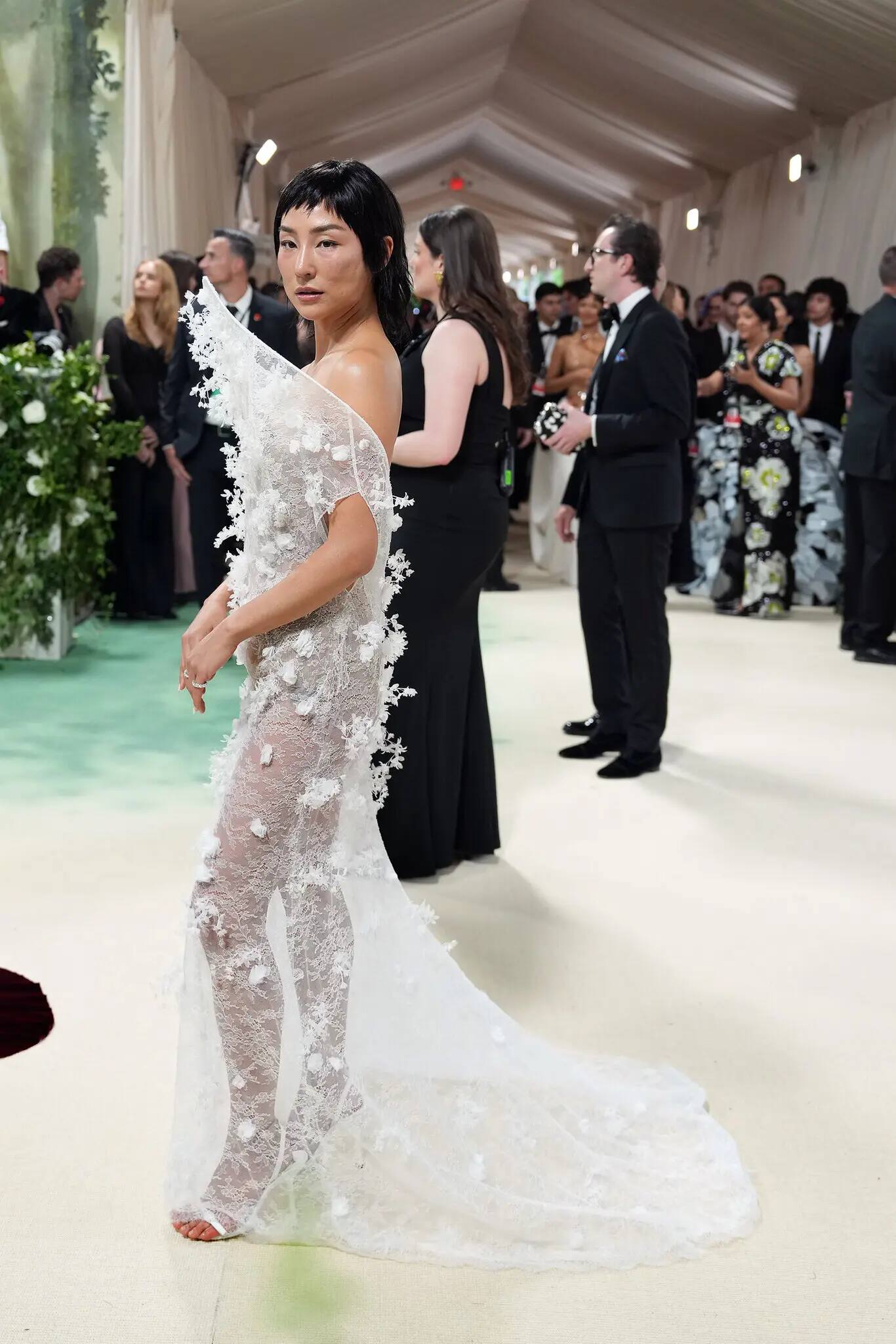 Met Gala 2024: Celebrities on the Red Carpet