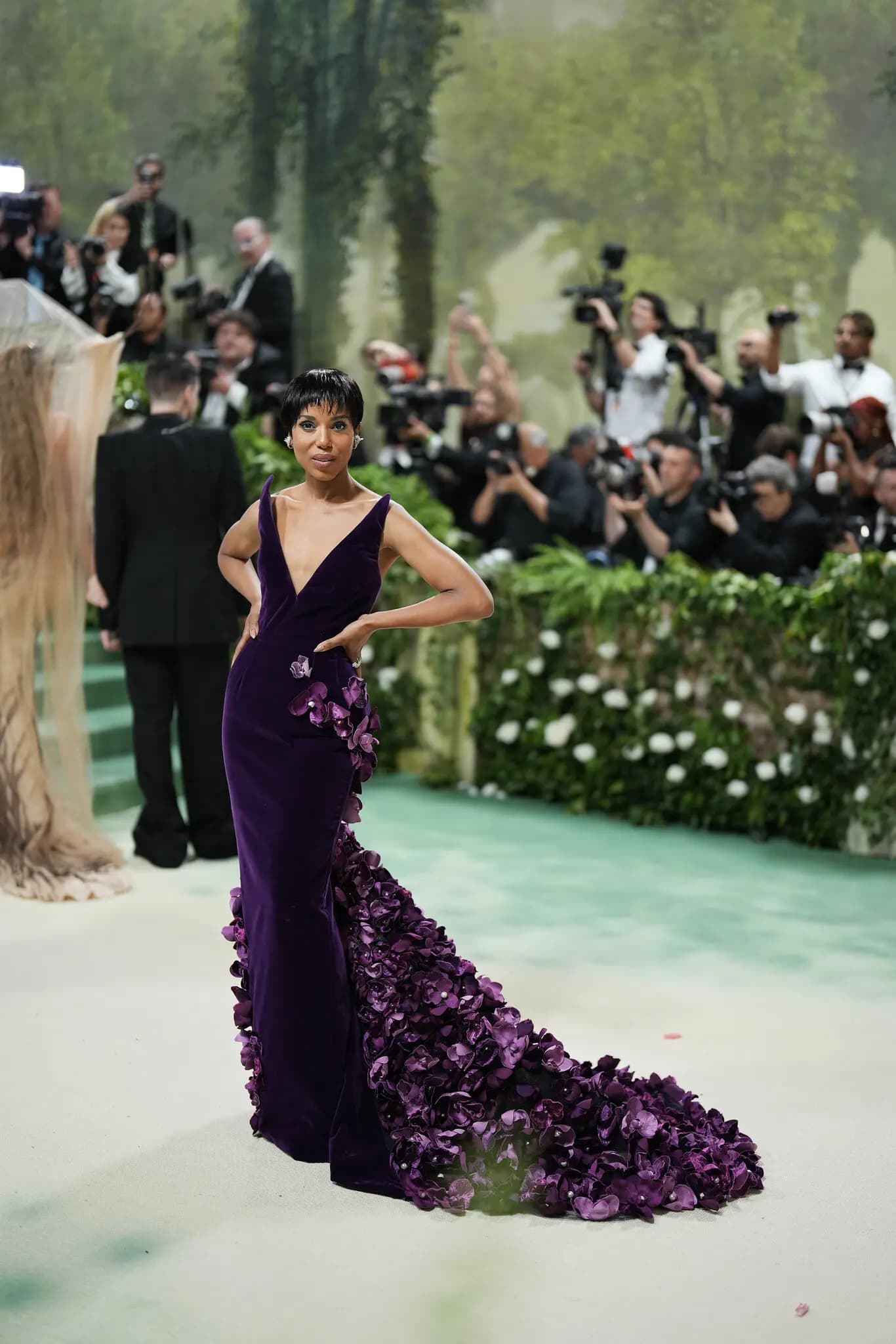 Met Gala 2024: Celebrities on the Red Carpet