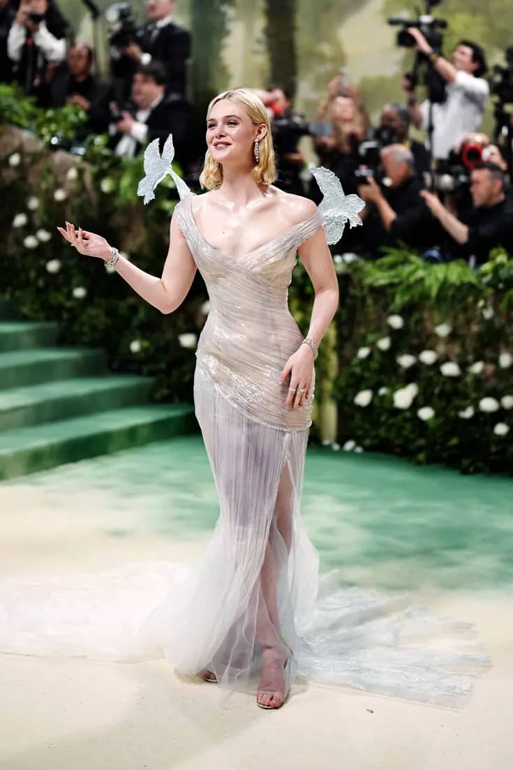 Met Gala 2024: Celebrities on the Red Carpet