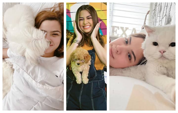 These Furbabies Make Alexa Ilacad The OG Gen Z Pawrent These Furbabies Make Alexa Ilacad The OG Gen Z Pawrent