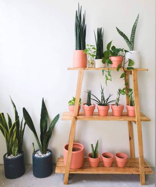 10 Clever Plant Racks That Will Organize And Beautify Your Green Spaces