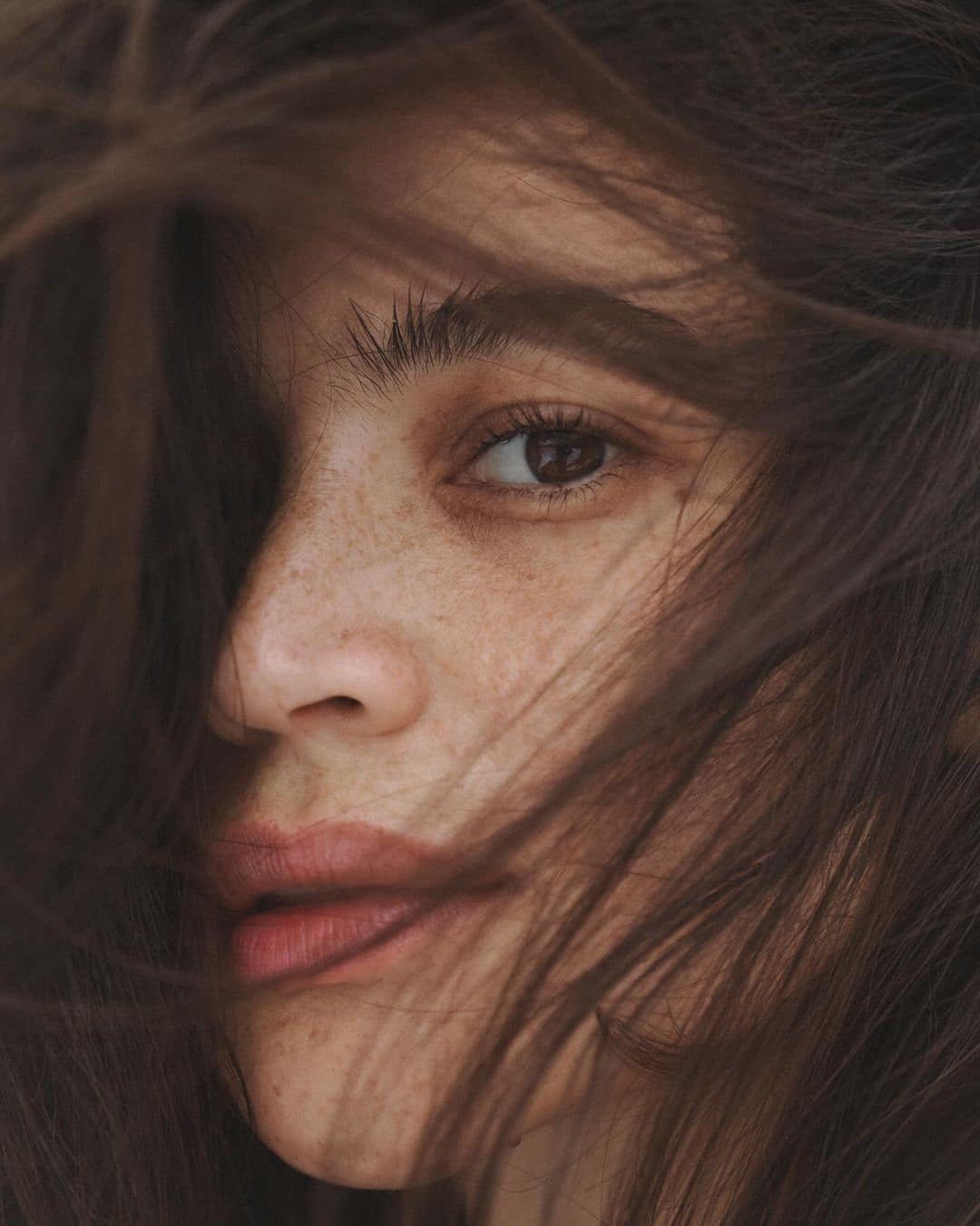 Anne Curtis-Smith