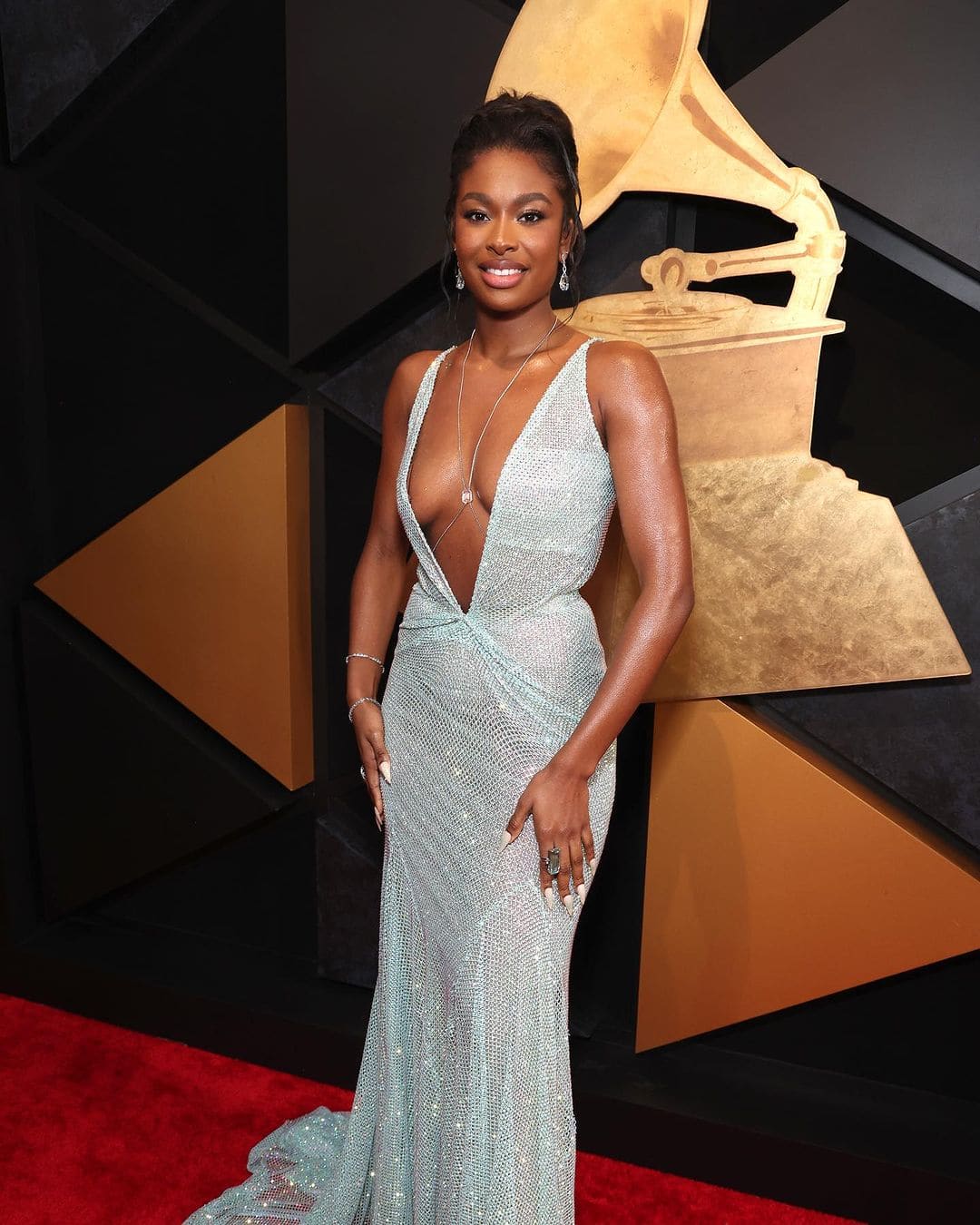 Grammys 2024: Celebrities on the Red Carpet