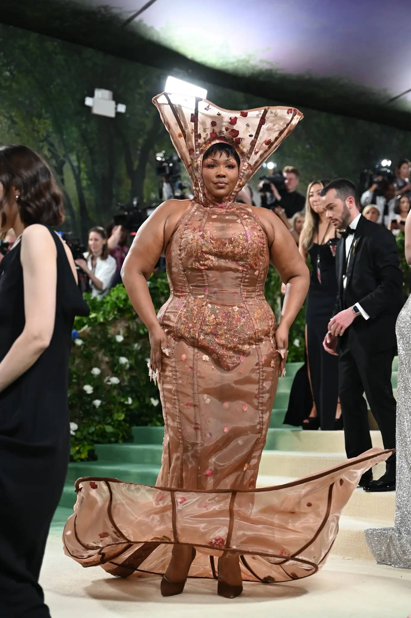 Met Gala 2024: Celebrities on the Red Carpet