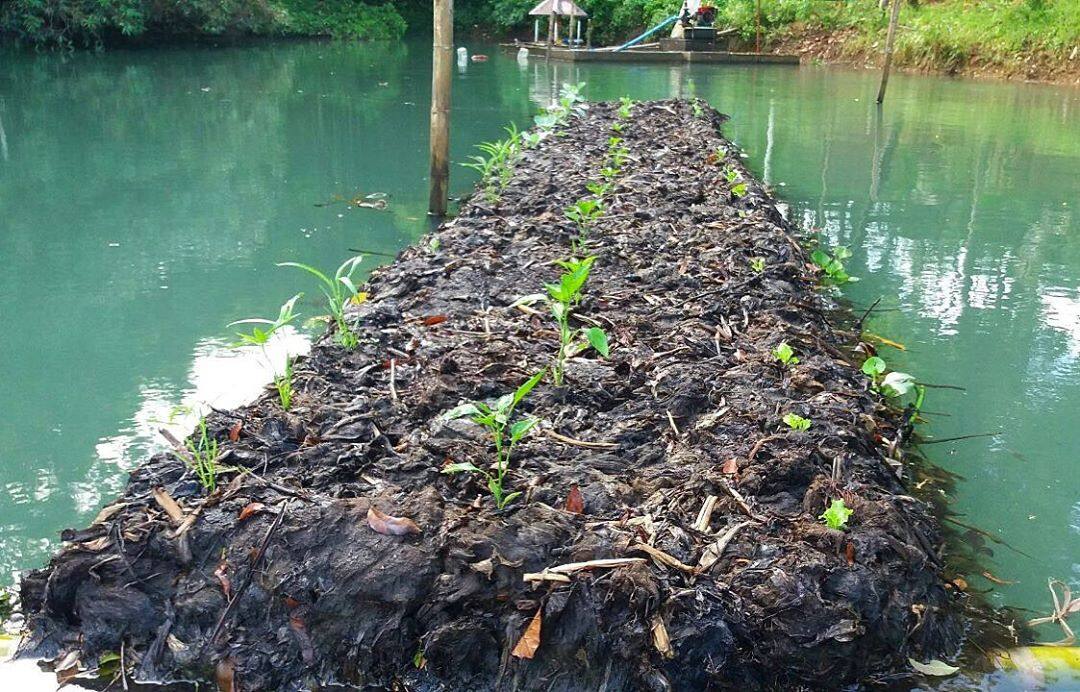 Angie Mead King Takes Her FarmVille Game To A Whole New Level Metro.Style