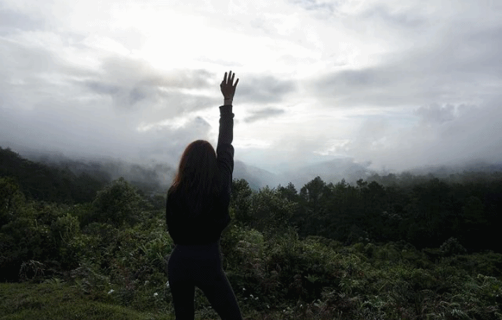 Nadine's 'Green' Ways
