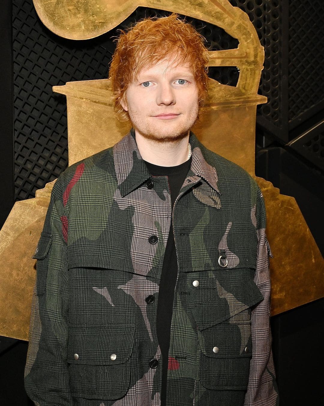 Grammys 2024: Celebrities on the Red Carpet