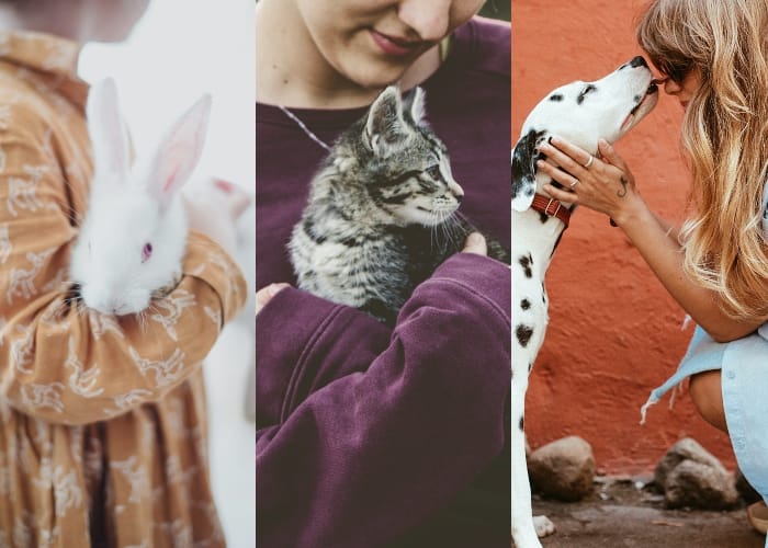 Pets Are More Than Cute Companions—They Literally Help Us Stay Alive In 7 Ways Pets Are More Than Cute Companions—They Literally Help Us Stay Alive In 7 Ways