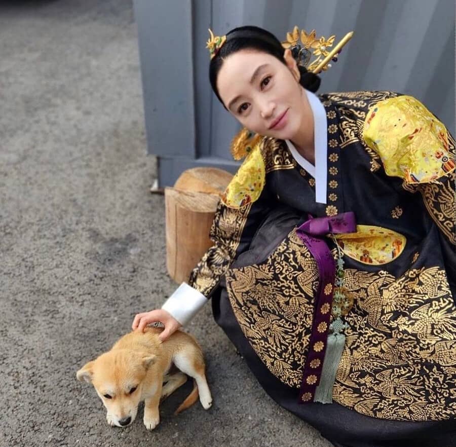 These Baeksang Awards Nominees For Best Actress Are Winning Pet Pawrents |  Metro.Style