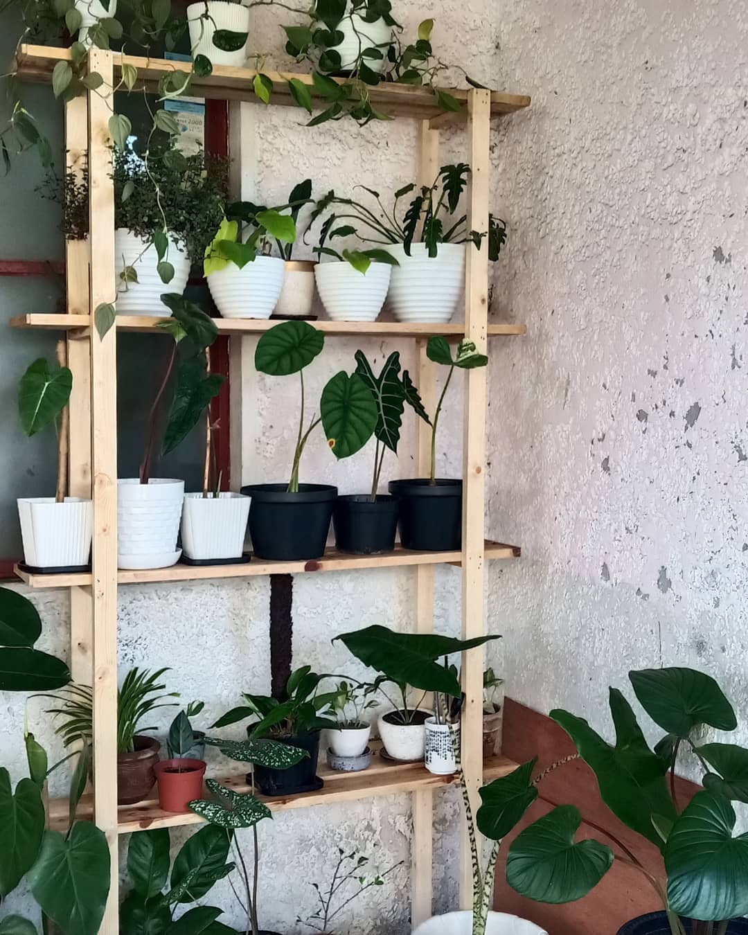 10 Clever Plant Racks That Will Organize And Beautify Your Green Spaces