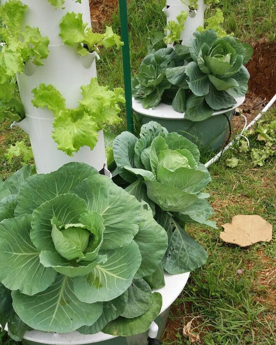 Angie Mead King Takes Her FarmVille Game To A Whole New Level Metro.Style