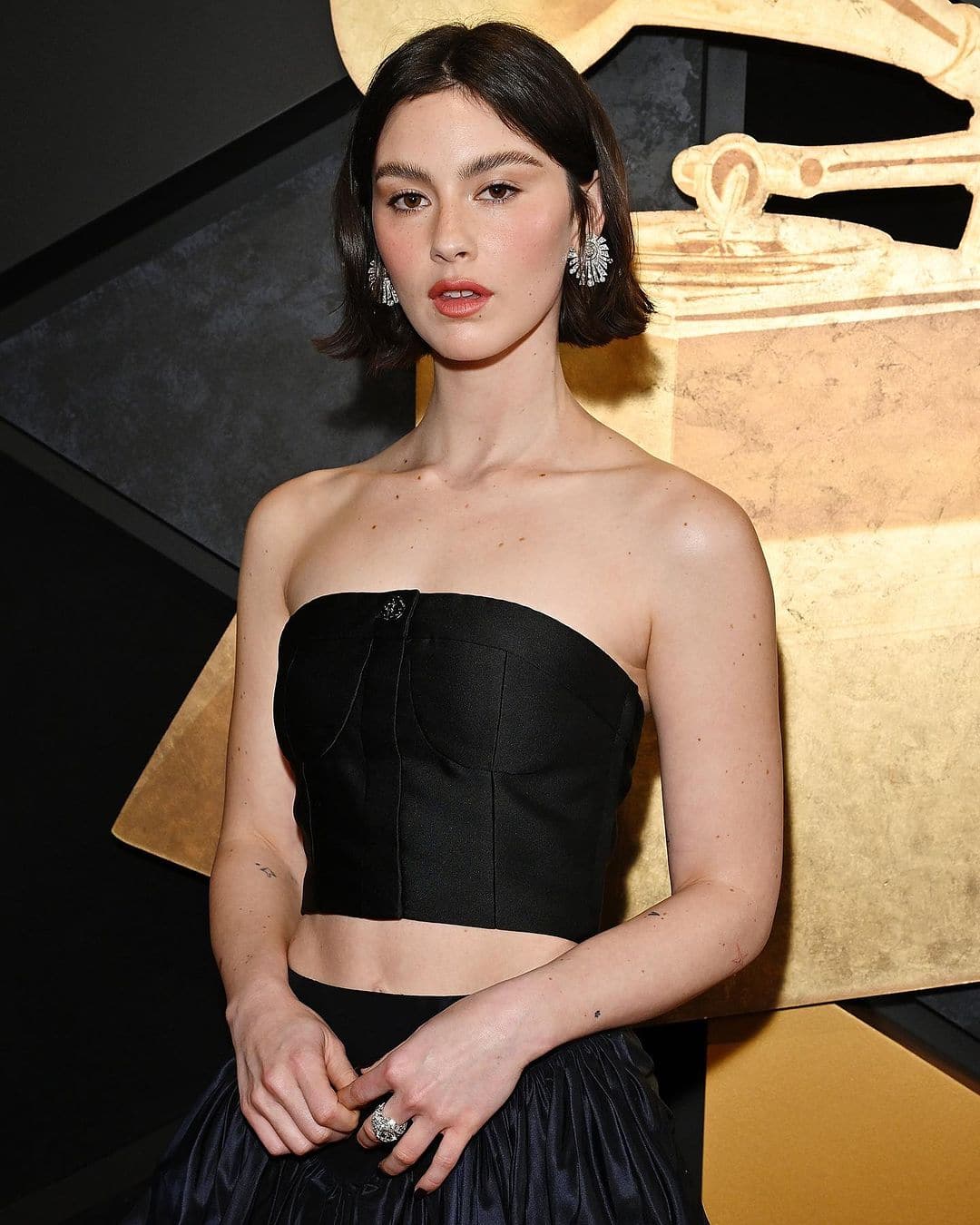 Grammys 2024: Celebrities on the Red Carpet