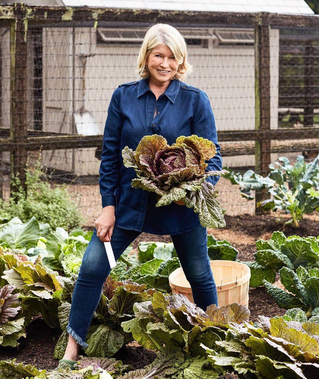 martha stewart visits manila 0