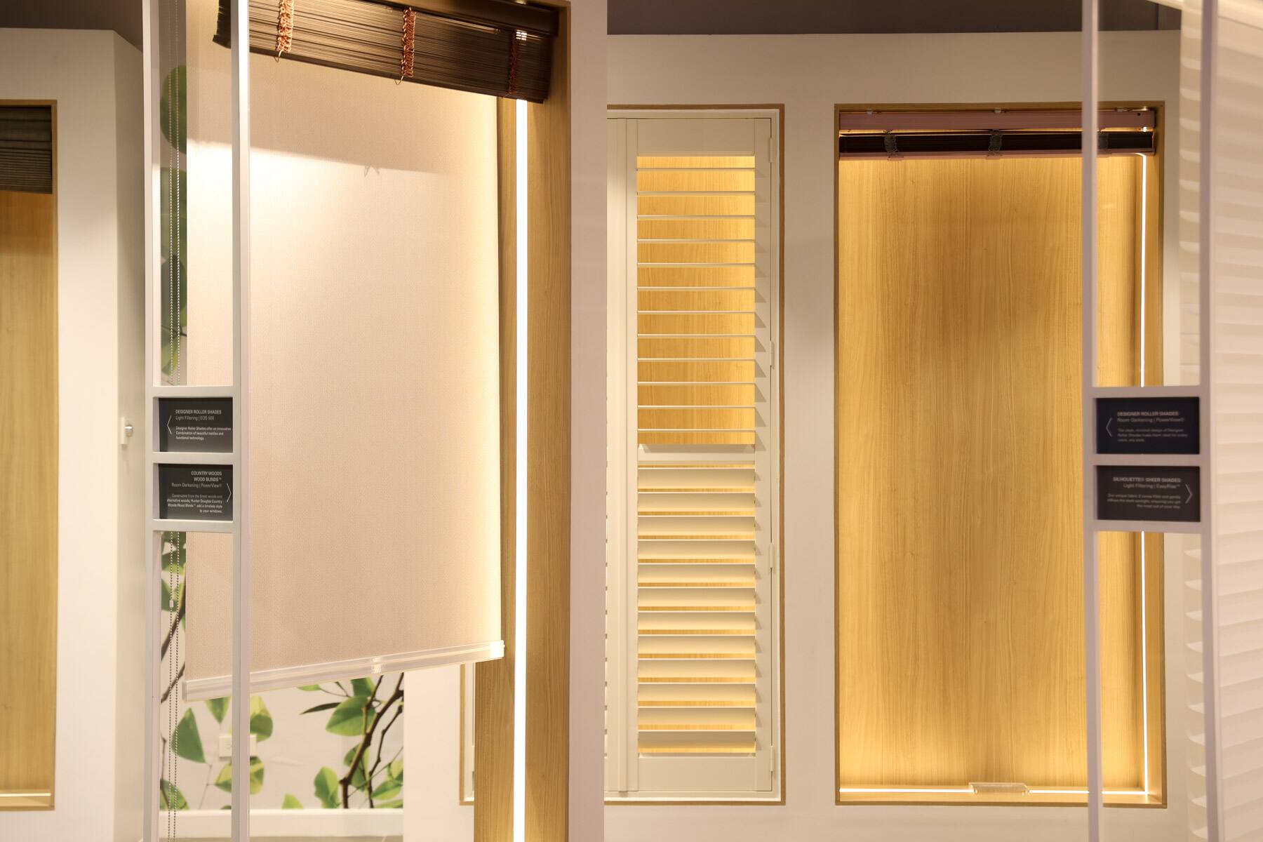 Hunter Douglas at Focus Global