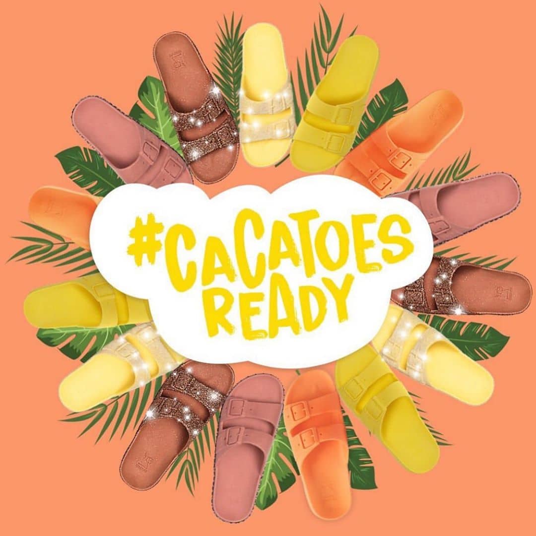 Take your pick from this Cacatoes wreath! Take your pick from this Cacatoes wreath!